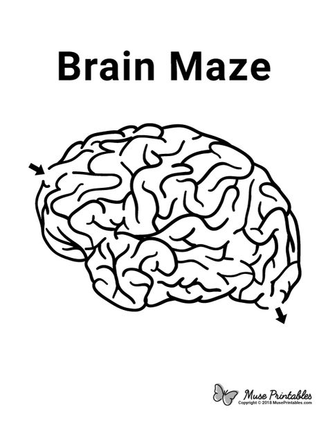 Free printable brain maze. Download it at https://museprintables.com/download/maze/brain/ Brain Crafts For Kids, The Brain For Kids, Brain Worksheet, Brain Printable, Brain Shape, Brain Puzzle, Maze Activity, Brain Craft, Body Preschool