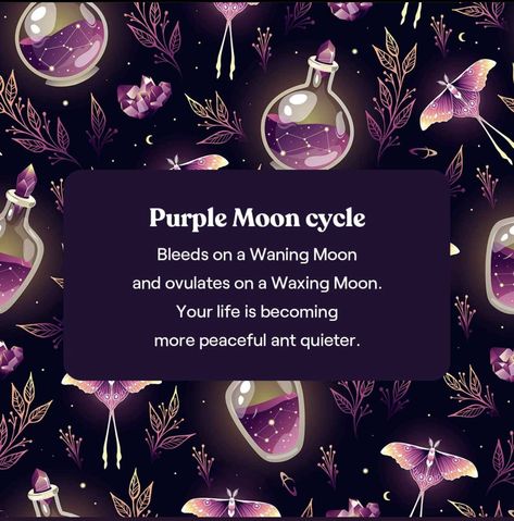 Purple Moon Cycle, Period Quotes, Aunt Flow, Menstrual Blood, Spiritual Care, Womb Healing, Purple Moon, Moon Book, Moon Cycle