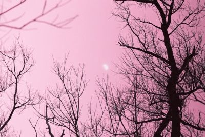 Pastel Creepy Aesthetic, Pastel Goth Aesthetic Pictures, Pink Halloween Header, Pastel Goth Header, Pastel Emo Aesthetic, Spooky Pink Aesthetic, Pastel Pink And Black Aesthetic, Pastel Goth Icons, Pink Halloween Banner