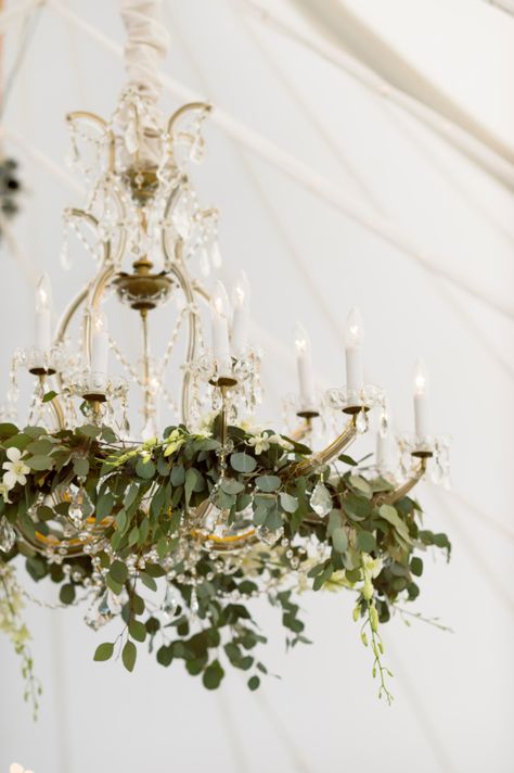 Chandelier with cascading greenery: http://www.stylemepretty.com/2017/03/30/modern-chic-estate-wedding/ Photography: Studio Atticus - http://www.studioatticus.com/ Wedding Chandelier Decor, Chandelier Decorations Wedding, Chandelier For Wedding Decor, Eucalyptus Chandelier, Wedding Chandeliers, Eucalyptus Chandelier Wedding, Chandeliers With Greenery, Wedding Chandelier Ideas, Chandelier Wedding