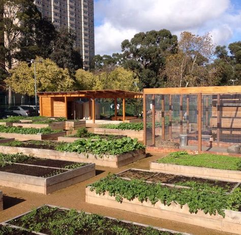 Cultivating Community (@cultivatingcommunity) • Instagram photos and videos Community Space Architecture, Community Garden Design, Cultivating Community, Creative Placemaking, Farm Community, Garden Community, Community Kitchen, Community Gardens, Community Living