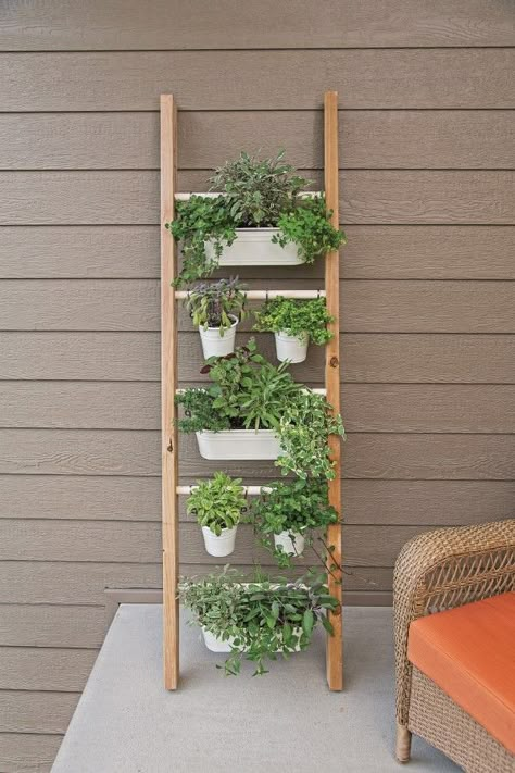 Clever Vertical Herb Gardens That Will Grow a LOT of Herbs in a Small Space! - Garden Therapy® Ladder Planter, Vertical Herb Gardens, Patio Herb Garden, Diy Garden Landscaping, Diy Garden Patio, Diy Herb Garden, Herb Garden Design, Herb Gardens, Vertical Herb Garden