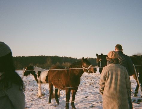 Winter Film Aesthetic, Film Photography Winter, Christmas Film Photography, Winter Film Photography, Dear December, November Film, Winter Aesthetic Cozy, Winter Photo Ideas, Film Photography Aesthetic