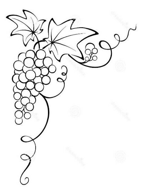 Grapevine Drawing, Grape Drawing, Wine Vine, Vine Drawing, Wall Stencil Patterns, Bottle Drawing, Wine Logo, Name Card Design, Glass Painting Designs