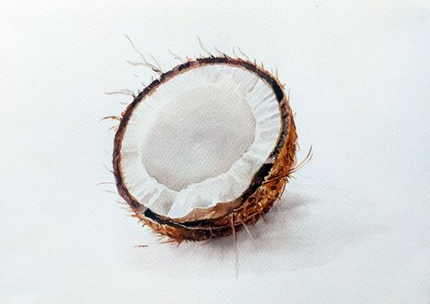 Is it REAL or NOT | Coconut painting | Watercolor painting | Watercolor tutorial step by step Coconut Watercolor Painting, Coconut Painting Ideas, Watercolor Coconut, Watercolor Tutorial Step By Step, Coconut Painting, Fruits Art, Watercolor Tutorial, Object Drawing, Art Watercolour