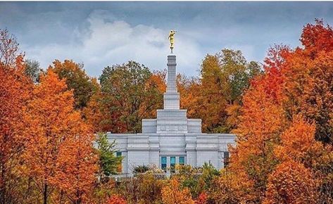 Palmyra NY Palmyra New York, Temple Poster, Mormon Temples, Temple Art, Lds Temples, Nyc Trip, Praise God, Latter Day Saints, Statue Of Liberty