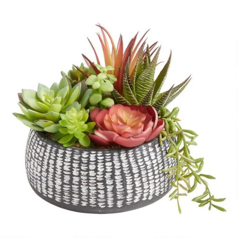 Faux Succulent Arrangement in Black Etched Ceramic Pot Indoor Plants Styling, Fake Succulents, Cozy Fall Decor, Artificial Potted Plants, Potted Trees, Faux Succulents, Succulent Arrangements, Artificial Flower Arrangements, Diy Plants