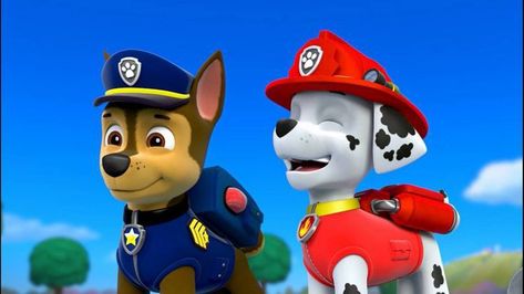 Chase And Marshall, Paw Patrol Marshall, Zuma Paw Patrol, Psi Patrol, Paw Patrol Chase, Sweet Boyfriend, Paw Patrol Characters, Marshall Paw Patrol, Paw Patrol Pups