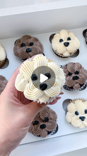 Dog Cake Buttercream, Cupcakes Decorated Like Dogs, Cupcake Dog Design, Puppy Cupcakes For Kids, Dog Cupcakes Decoration, Dog Decorated Cupcakes, Cockapoo Cake, Poodle Cupcakes, Maltese Cake