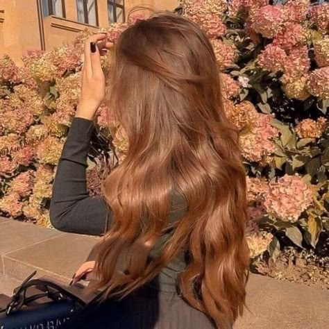 Ginger Brown Hair, Cinnamon Brown Hair, Light Auburn Hair, Amber Hair, Cinnamon Hair, Chestnut Hair Color, Honey Brown Hair, Brown Hair Looks, Brown Hair Inspo