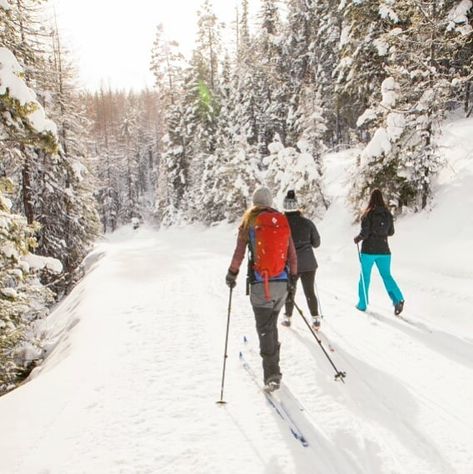 Lakeside, Montana: Blacktrail Nordic Trails are high above the Flathead Valley floor, a short drive from tiny Lakeside,… Lakeside Montana, Vermont Skiing, Ski Canada, Winter Fitness, Skiing Aesthetic, Xc Ski, Family Ski, Nordic Skiing, Adventure Inspiration