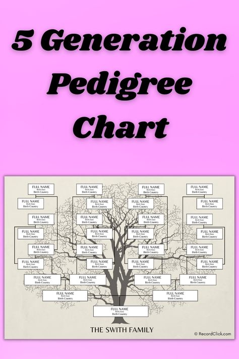 With the numerous generations involved in the 5 Generation Pedigree Chart, there’s a need to use a readable chart and standardized symbols to present information. Family Tree Templates | Free PDF & Editable Versions | Start Building Your Genealogy with Our Trees | Genealogy Shouldn’t Be Overwhelming | Discover Your Family | #Ancestry #Genealogy #FamilyTree #FamilyTreeTemplates #5GenerationPedigreeChart Family Tree Templates, Family Tree Designs, Pedigree Chart, Tree Template, Family Ancestry, Family Tree Chart, Family Tree Template, Tree Templates, Ancestry Genealogy