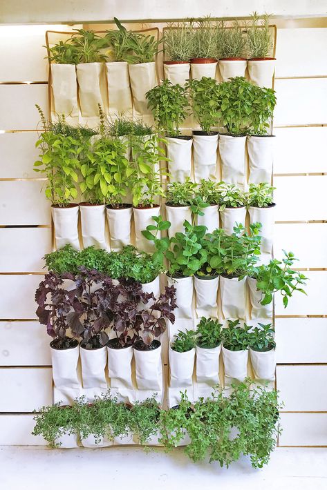 16 Best DIY Herb Garden Ideas You'll Obsess Over In 2019 Apartment Herb Gardens, Vertical Herb Gardens, Vertical Garden Indoor, Vertical Garden Design, Hanging Herbs, Diy Herb Garden, Vertical Vegetable Garden, Herb Garden Design, Vertical Herb Garden