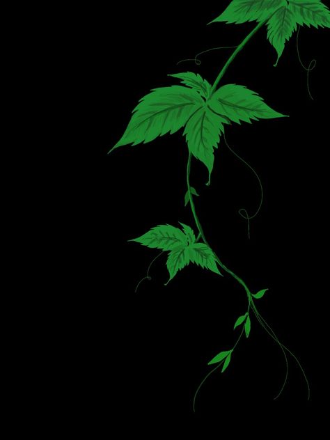 Procreate artwork of leaf and tendons Procreate Artwork, Procreate Art, Vines, Fantasy Art, Flowers, Quick Saves, Art