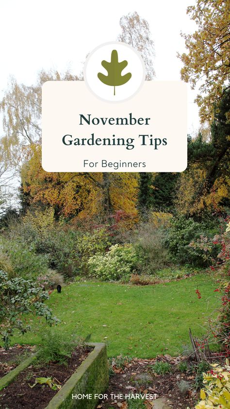 The days are a little bit cooler and winter is fast approaching. November is a great month to prepare your plants for frosty winter conditions and wrap up some of the gardening tasks that you might have already started back in October.These tips for gardening in November that will set up your garden for success next season. Read on to learn all about these fall garden tasks and how to best implement them in your yard. Seasonal Gardening, Growing Food Indoors, Organic Soil, Fall Garden, Pollinator Garden, Spring Bulbs, Herbaceous Perennials, Indoor Gardening, Edible Plants