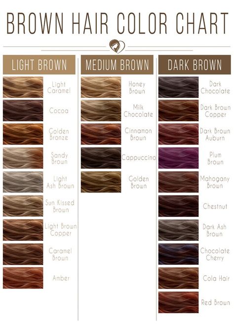 Light Brown Hair Color Chart #brownhair #brunette ❤️ Brown hair color chart is your guide to find the perfect brunette shade! Light, medium, and dark ideas for brunettes are here: from natural warm shades to pastel ash and cool chocolate tones. ❤️ See more: https://lovehairstyles.com/brown-hair-color-chart/ #lovehairstyles #hair #hairstyles #haircuts Brown Hair Dye Colors Shades, Level 5 Golden Brown Hair, Levels Of Brown Hair Chart, Brown Shades Of Hair Color, Hair Color Ideas Cinnamon Brown, Simple Hair Color Ideas Brown, Brown Colors For Hair, #30 Hair Color, Dyed Hair Light Brown