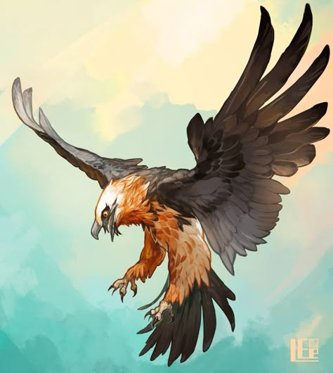 Love the bearded vulture Bearded Vulture, Creature Drawings, Desenho Tattoo, An Eagle, Fantasy Creatures Art, Arte Sketchbook, Creature Concept Art, Animal Sketches, Bird Drawings