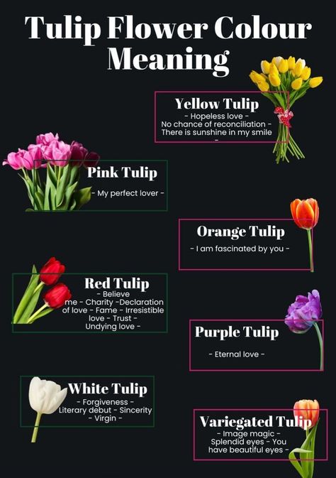 Tulips Meaning Language Of Flowers, Flower Color Meaning, Tulips Meaning, Colour Meaning, Types Of Tulips, Tulips Images, Flower Chart, Planting Tulips, Tulip Colors