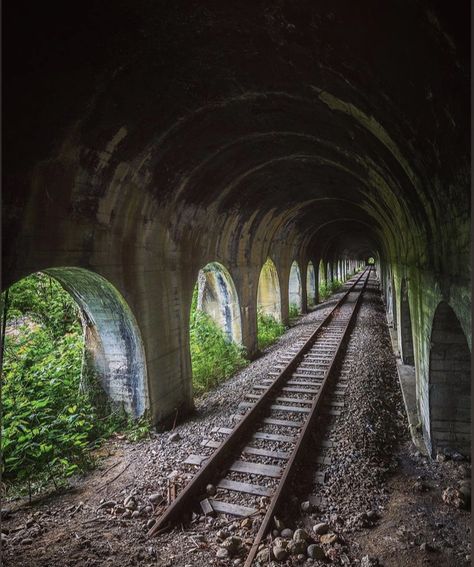 Abandoned Railroad Tracks, Train Bridge, Train Tunnel, Apocalypse Aesthetic, Abandoned Train, Railroad Photography, Old Train, Train Pictures, Model Train Layouts