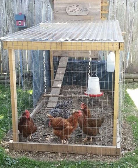 Chicken Coop In The Woods, Chicken Coop Run Plans, Chicken Cages Design, Grow Out Pens For Chicks, Small Chicken Run, Chicken Coops Diy, Reban Ayam, Poultry Farm Design, Cute Chicken Coops