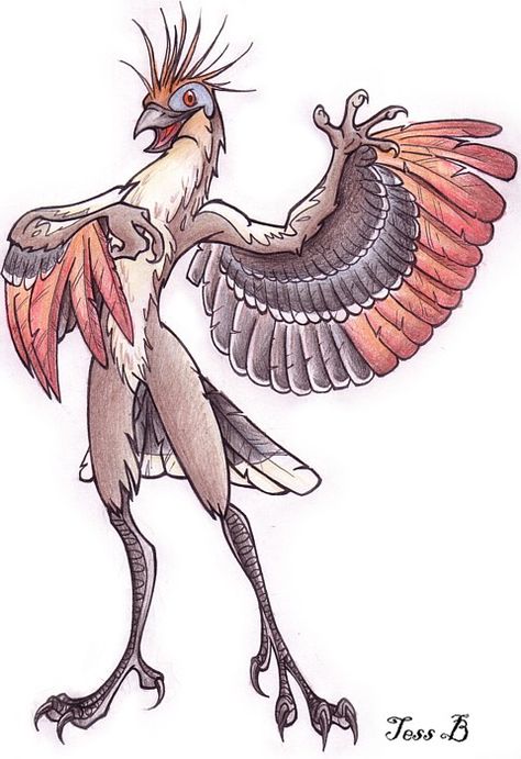 hoatzin anthro by f0xyme Clawed Hands, People To Draw, Weird Birds, Human Character, Bird People, My Character, The Rainforest, D&d Dungeons And Dragons, Fantasy Monster