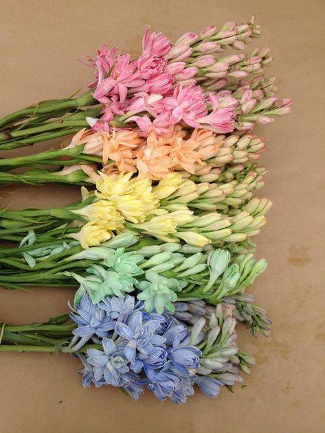 Nardos. A Bunch Of Flowers, Rainbow Wedding, Trendy Flowers, Pastel Wedding, Deco Floral, Pastel Flowers, Bunch Of Flowers, Pretty Pastel, Rainbow Flowers