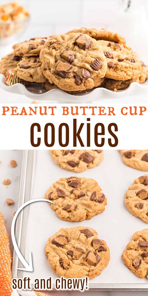 Starbucks Peanut Butter Cookies, Reeses Peanut Butter Cup Cookie, Chocolate Chip And Reeses Cup Cookies, Pb Cookies With Reeses, Recipes With Recess Peanut Butter Cups, Things To Make With Reeses Peanut Butter Cups, Peanut Butter Cookie With Reese Cup, Reese’s Peanut Butter Cup Chocolate Chip Cookies, Reese Peanut Butter Desserts