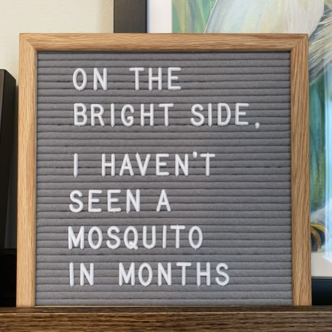 Letter Board Ideas For Christmas, Letter Board February, December Letter Board Funny, January Message Board Quotes, Christmas Felt Board Quotes Funny, Funny Winter Letterboard, Funny Letter Board Quotes For Work, Christmas Letter Board Ideas Funny, Winter Felt Board Quotes