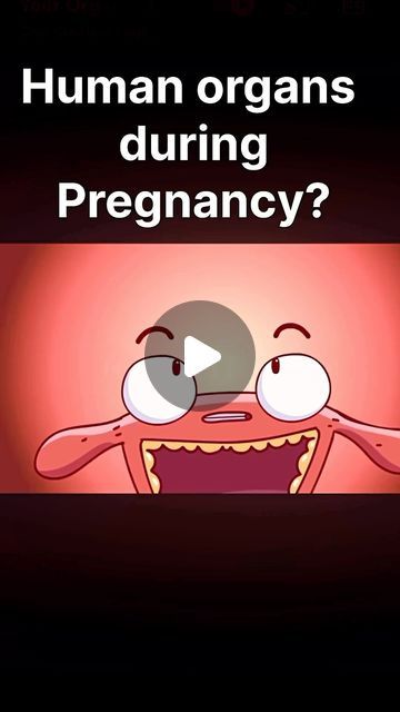 Scientifically how? on Instagram: "Human organ during pregnancy 🤰 

Credit: @casicreativoenglish YT

#pregnancy #child #embryo #trending #medicalscience #trending #viralreels" Human Embryo, Pregnancy Videos, Human Organ, Funny Pregnancy, Baby Tips, Pregnancy Humor, Medical Science, Baby Hacks, Medical School