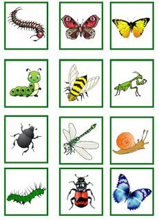 Juf Martine: Thema kriebelbeestjes Nature Letters, Insects Preschool, Butterflies Activities, Bugs Preschool, Kindergarten Art Lessons, Homeschool Preschool Curriculum, Insect Crafts, Matrix 1, Preschool Planning