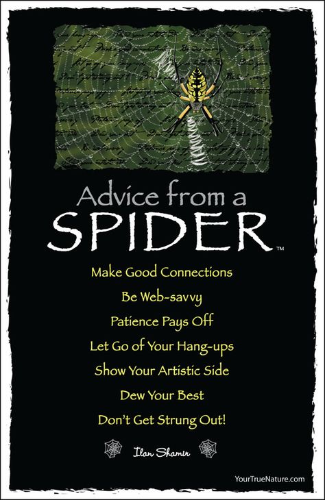 Advice from a Spider Advice From A, Spider Quotes, Totem Animals, Animal Spirit Guides, Animal Spirit, Animal Totem, Spirit Animals, Animal Totems, Advice Quotes