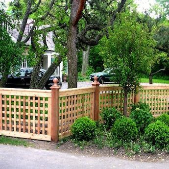 Backyard Landscapes, Low Fence, Wood Fence Design, Lattice Fence, Front Yard Design, Fence Styles, Front Yard Fence, Privacy Fences, Acer Palmatum