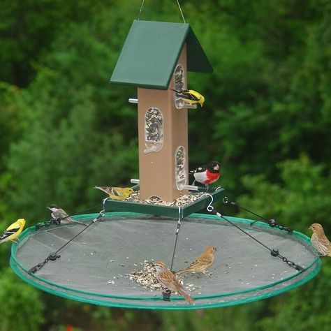 Bird Seed Trays | Seed Catchers | Bird Feeder Seed Catchers | Bird Feeder Trays - The Birdhouse Chick Bird Seed Catcher, Platform Bird Feeder, Backyard Birds Feeders, Backyard Birds Sanctuary, Bird Seed Feeders, Homemade Bird Feeders, Wild Bird Feeders, Bird House Kits, Bird Aviary