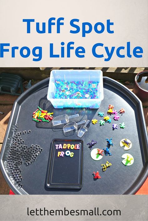 fab frog life cycle tuff spot. A great tuff spot activity for young toddlers or pre school children to learn about the four main stages of the frog lifecycle. Can be easily extended for older children #kindergarten | #eyfs | #finemotorskills Growth And Change Activities Eyfs, Life Cycle Eyfs, Frogs Eyfs, Mini Beasts Eyfs, Science Eyfs, Ks1 Provision, Animals Eyfs, Minibeasts Activities, Praa Sands