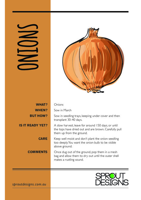 How to grow Onions! Grow Onions, Growing Onions, Planting Guide, Garden Growing, Plant Journal, Market Garden, Quotes Prayer, Growing Tips, Green Heart