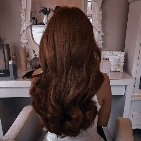 Dark Auburn Hair, Warm Brown Hair, Chestnut Brown Hair, Rambut Brunette, Red Hair Inspo, Honey Brown Hair, Brown Hair Looks, Brown Hair Inspo, Hot Hair Colors