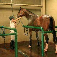 Washrack - So great for horses that move constantly. I NEED THIS OMG! Horse Wash Rack, Horse Farm Ideas, Horse Barn Ideas Stables, Stable Ideas, Horse Barn Designs, Dream Horse Barns, Horse Barn Plans, Horse Washing, Horse Facility