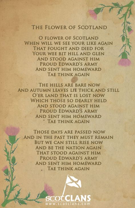 Flower of Scotland Scottish Poems, Scottish Quotes, Scottish Words, Flower Of Scotland, Scottish Music, Scotland History, Scottish Ancestry, Scottish Independence, Scottish Recipes