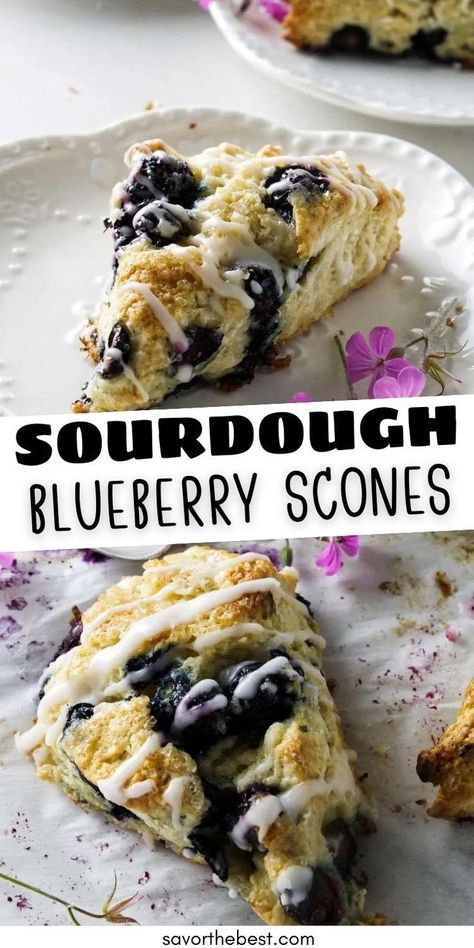 Blueberry Sourdough Scones, Blueberry Sourdough, Sourdough Scones, Sourdough Blueberry, Blueberry Lemon Scones, Blueberry Scones Recipe, Sourdough Starter Discard Recipe, Lemon Scones, Culinary Lavender