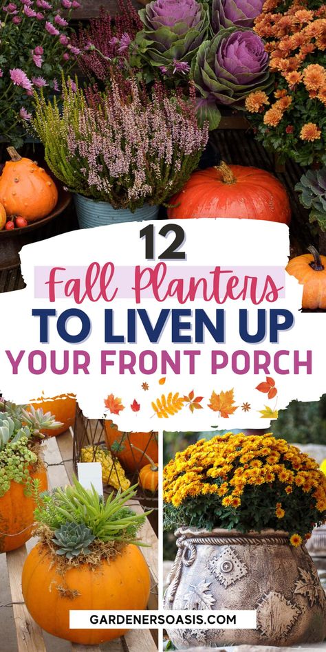 12 Front Porch Fall Planter Ideas | Outdoor Decorating Planter Ideas Outdoor, Fall Planter Ideas, Mums And Pumpkins, Porch Planter Ideas, Fall Flower Pots, Front Porch Plants, Potted Mums, Mums In Pumpkins, Planting Mums