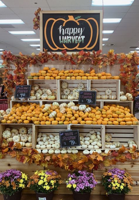 Pumpkin Store Display, Pumpkin Sales Display, Fall Produce Displays, Halloween Grocery Store Display, Grocery Store Display, Supermarket Display Grocery Store, Pumpkin Decorations, Christmas Displays, Autumn Display