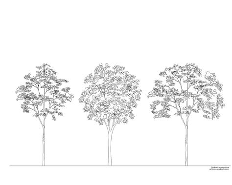 Bloc arbre pour Autocad dwg Bloc Autocad des arbres en élévation Télécharger le fichier gratuitement ci-dessous Tree Cad Block, Autocad Trees, Tree Dwg, Tree Tracing, Collage Architecture, Tree Sketch, Architectural Orders, Tree Vector, Tree Sketches