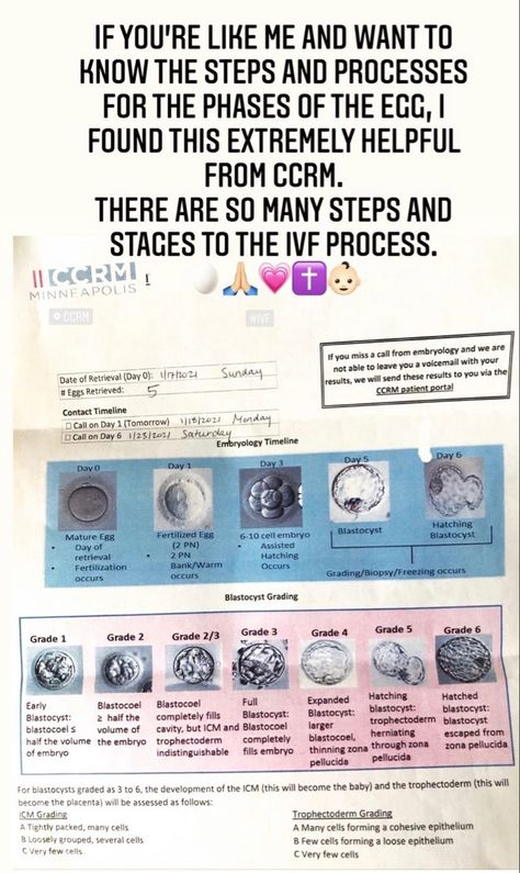 IVF is quite complex. This sheet CCRM made for me explaining the steps and process to the embryo’s steps for a successful transfer was so helpful! Ivf Process Step By Step, Ivf Quotes, Embryonic Development, Ivf Success, Embryo Transfer, Patient Portal, Fertility, Step By Step, Quotes