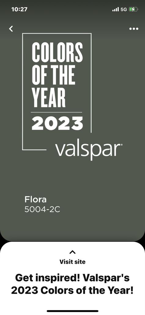 Flora Valspar Paint, Valspar Flora Paint, Flora By Valspar, Flora Valspar, Dark Taupe Paint Colors, Moody Bedroom Paint, Paint Reference, Taupe Paint Colors, Green Grey Paint