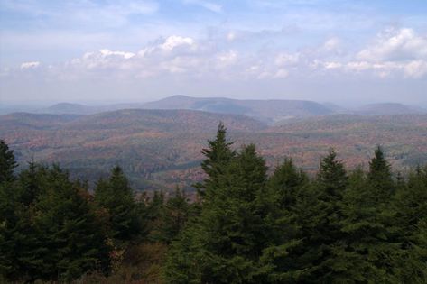 Then look out at the stunning view. If you wait until autumn to take the trip, you will find the most amazing color palette laid out before you. Make sure you have packed a sandwich so you can say you had lunch on top of the world. Spruce Knob is accessible by a trail at the end of Route 104, where the road becomes a loop that connects back to the direction you came. Foothills Trail, Allegheny Mountains, West Virginia History, Almost Heaven West Virginia, Take Me Home Country Roads, Virginia History, Natural Luxury, Travel United States, Annapolis Maryland