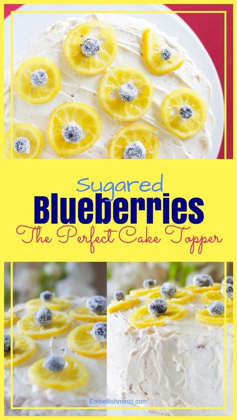 Sugared Blueberries make the perfect cake toppers! They're not difficult, they're edible and taste delicious. You will love these candied blueberries. www.Embellishmints.com Candied Blueberries, Sugared Blueberries, Strawberry Whipped Cream Frosting, Blueberries Cake, Sugared Fruit, Candied Lemon Slices, Elaborate Cakes, Lemon Juice Benefits, Candied Lemon Peel