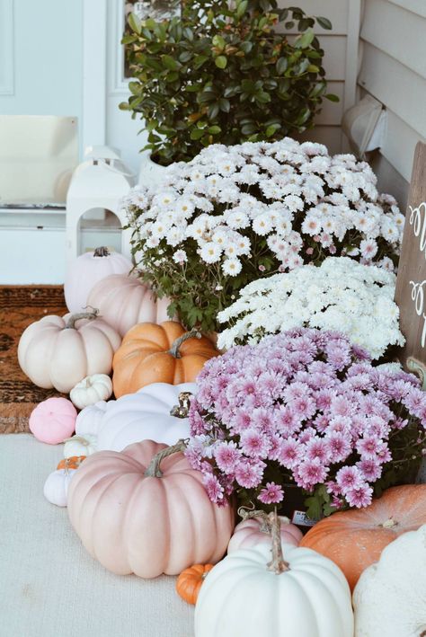 Pink Pumpkin Porch Decor, Pink And White Pumpkin Decor, Grandmillenial Fall Porch, Fall Front Porch Pumpkins, Pink Fall Decor Porch, Pink Gingham Pumpkin Party, Front Yard Porch Landscaping, Pink Pumpkin Fall Decor, Pink Door Fall Decor