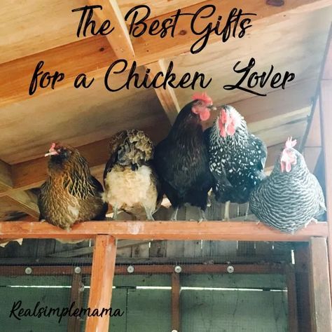 Gifts For Chicken Lovers, Chicken Mom, Chicken Lover Gifts, Useful Ideas, Chicken Lovers, What To Buy, A Chicken, Real Simple, Chicken Coop