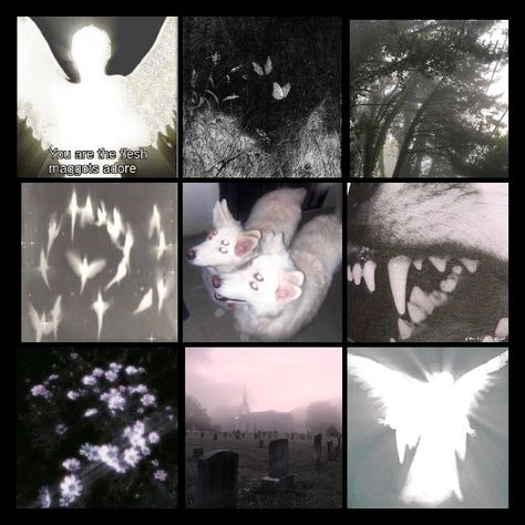 Casscore Aesthetic, Ed Moodboard, Emo Aesthetic Moodboard, Aesthetic Character Moodboard, Mood Board Theme Ideas, Aesthetic Character Board, Starflesh Moodboard, Angel Moodboard Aesthetic, Con Artist Aesthetic