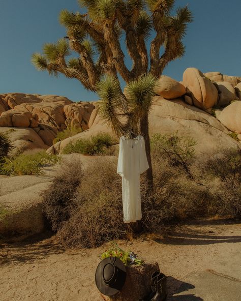 a moment for the details 🤍 Planning: @knightcoevents @knightcoelopements Photography: @photosbyjannajo Floral: @petal.scapefloraldesign Invitation Suite: @annamcbridedesigns Couple: @oliviaacigs + @cup_of_joe4 Ashtray: @gmorninashole Joshua Tree Engagement Photos, Joshua Tree Engagement, Joshua Tree, Invitation Suite, The Details, Engagement Photos, In This Moment, Floral, Photography